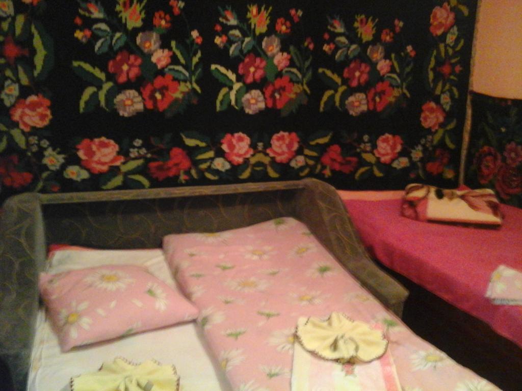 La Popas Hotell Orhei Exteriör bild