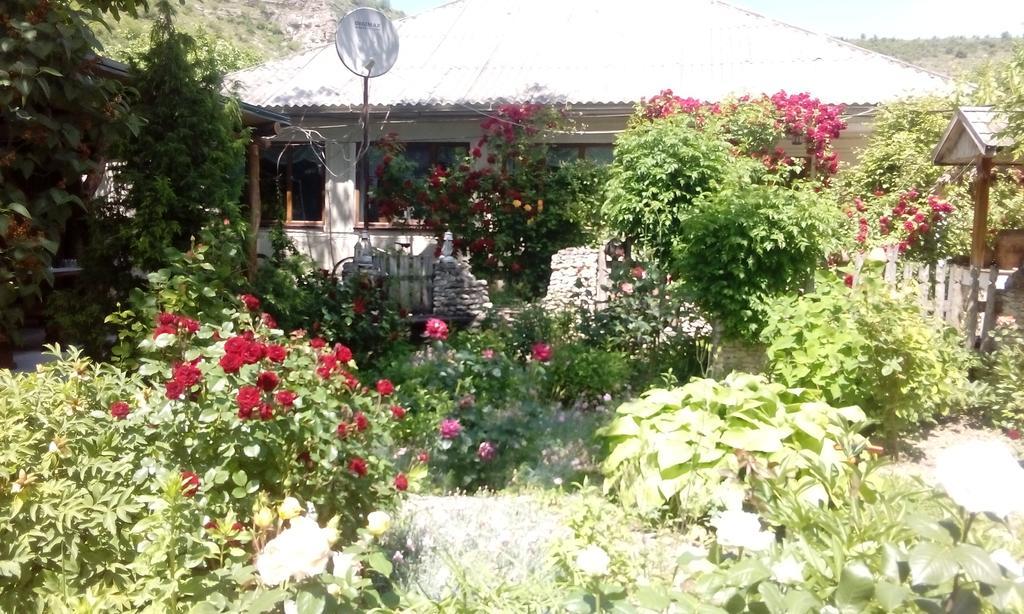 La Popas Hotell Orhei Exteriör bild