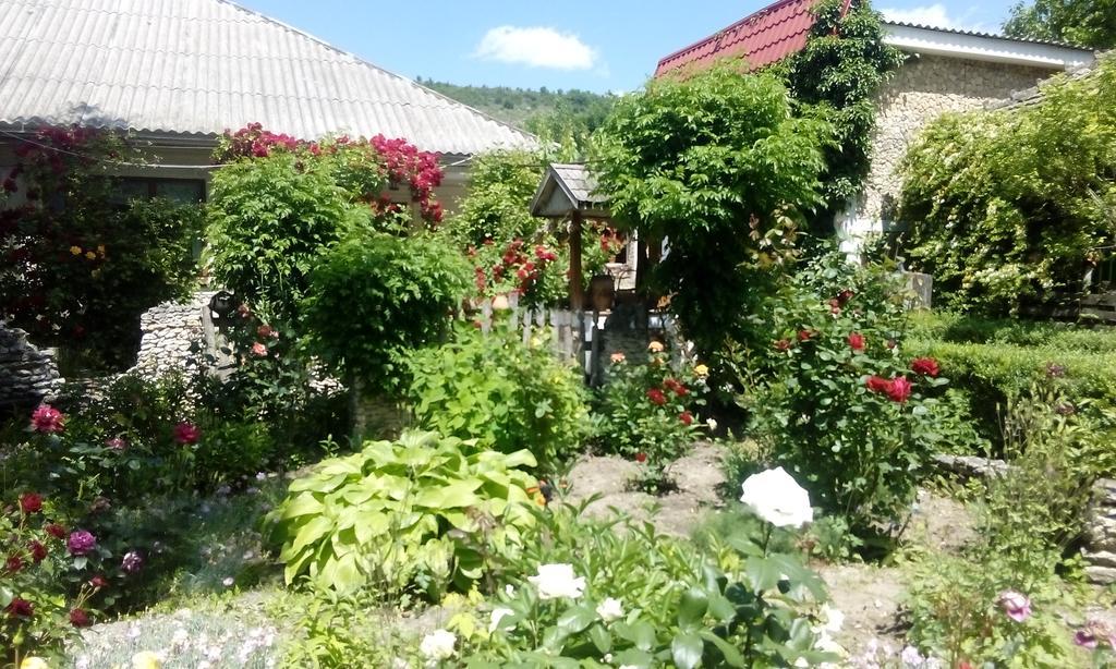 La Popas Hotell Orhei Exteriör bild